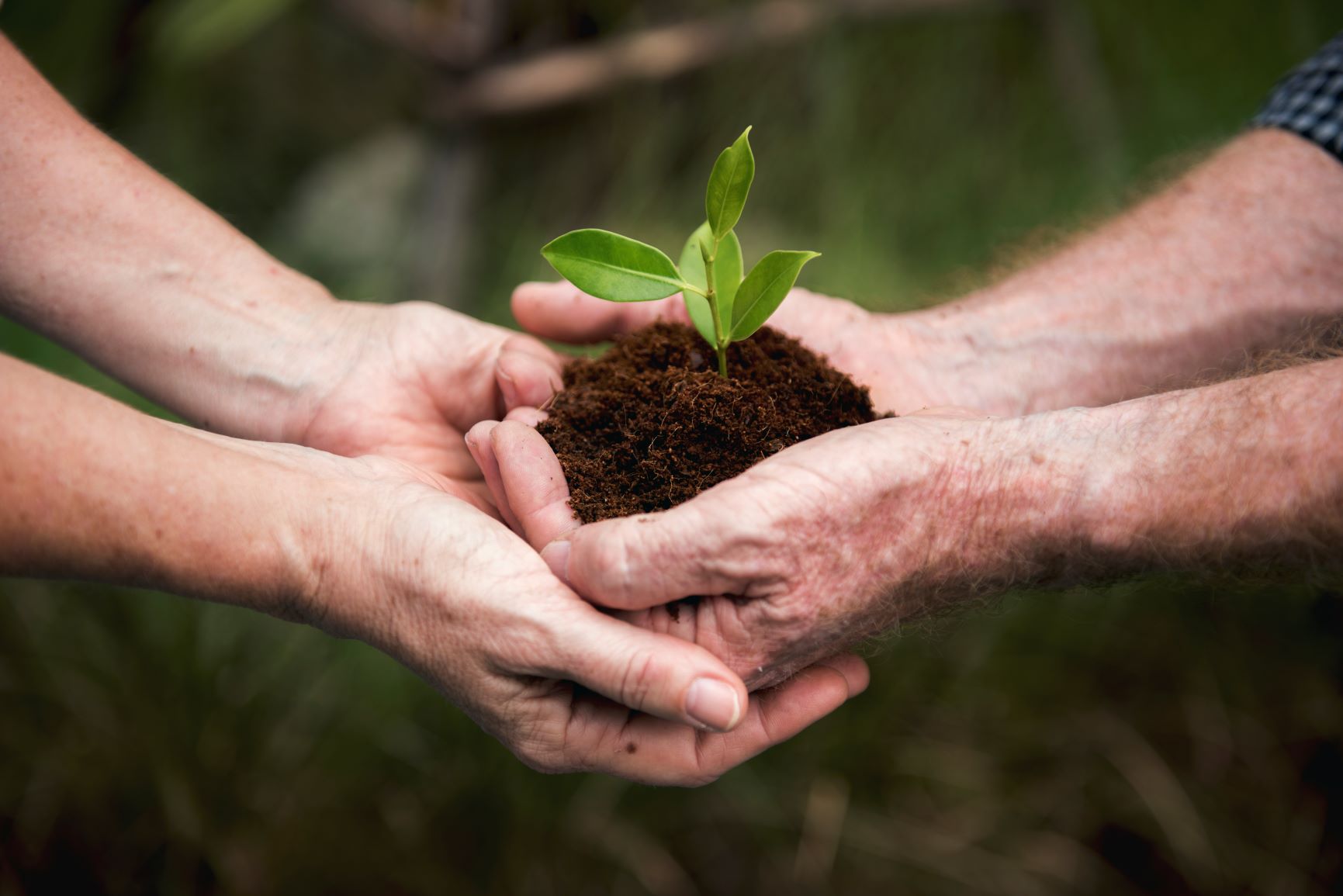 our-environmental-social-and-governance-focus